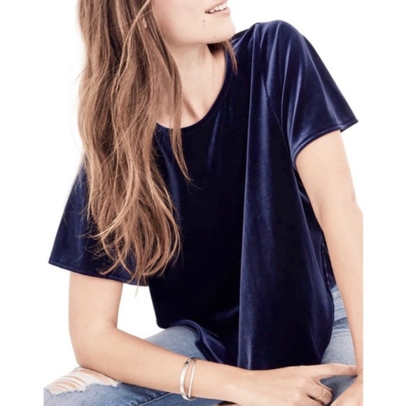 Madewell Tops - Madewell Gray Velvet Butterfly Top.